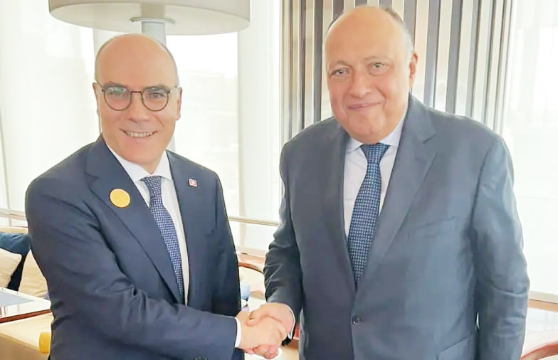 في اجتماع وزراء الخارجية العرب بالقاهرة ..   تنسيق تونسي مصري لضمان وصول المساعدات التونسية إلى غزّة المحاصرة